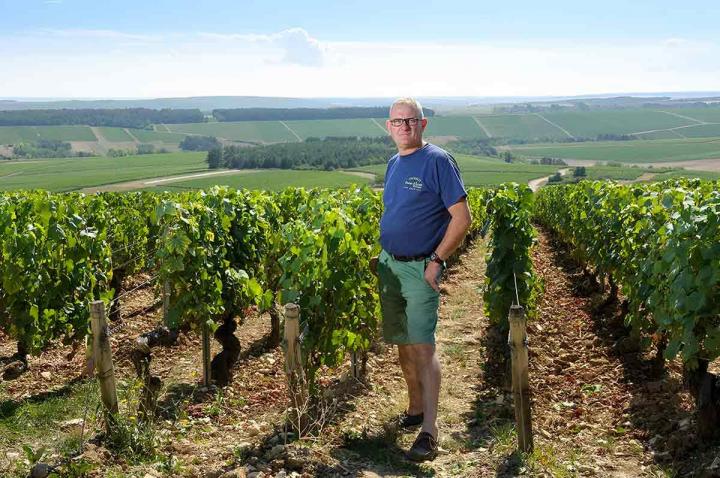 Production de vin blanc Chablis