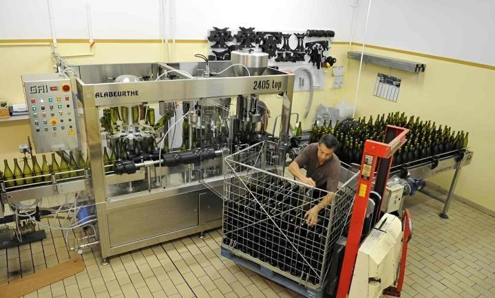 Production de vin blanc Chablis