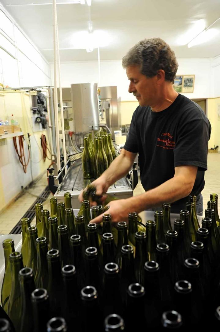 Producteur de vin blanc Chablis