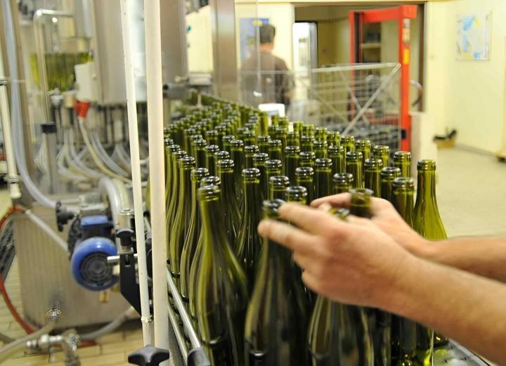 Producteur de vin blanc Chablis