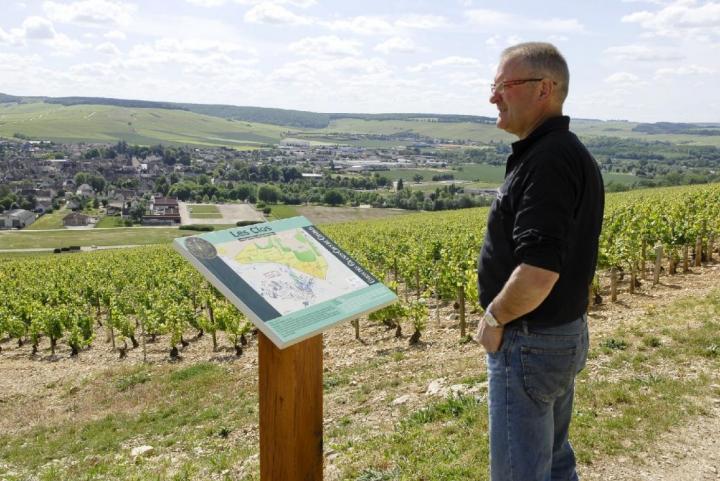 Nous excellons dans la culture de vignes depuis quatre générations.