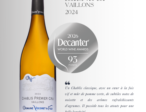 Chablis 1er cru, Vaillons 2024
